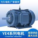 力久YE4系列8极三相异步电动机IE4能效等级压缩机运输机械电机