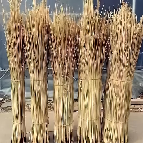 干稻草垫窝防寒软稻草宠物垫窝草