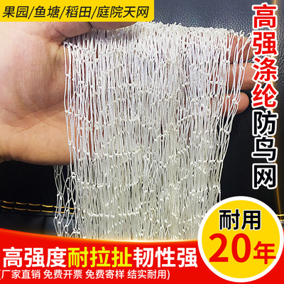 涤纶防鸟网果园果树大棚防鸟高强合股复丝涤纶防护网鱼塘养殖天网