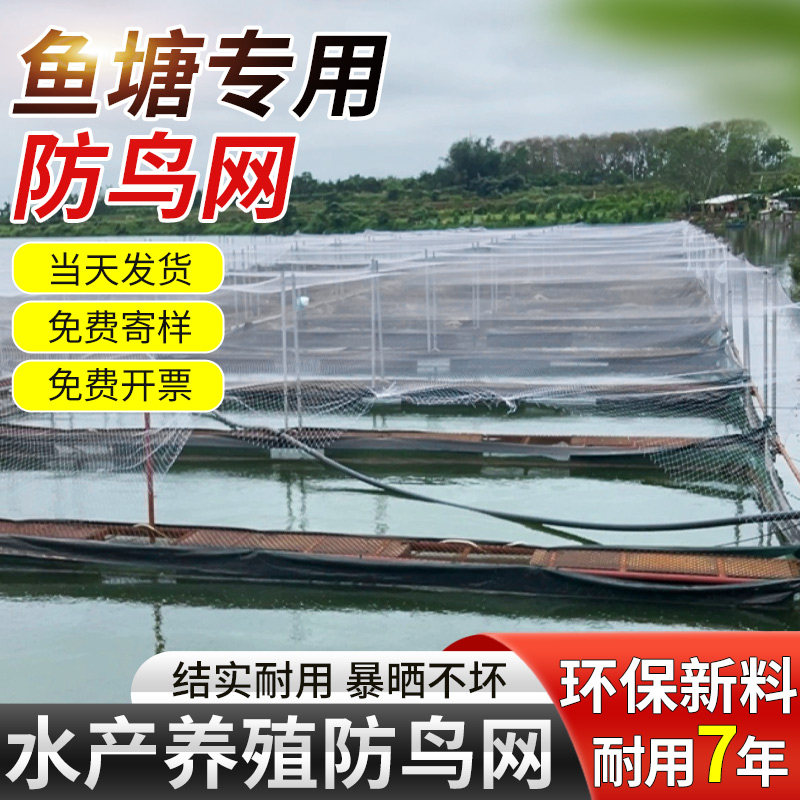 鱼塘防鸟网养殖网农田防大型鸟青蛙泥鳅锦鲤养殖场防鸟天网防护网