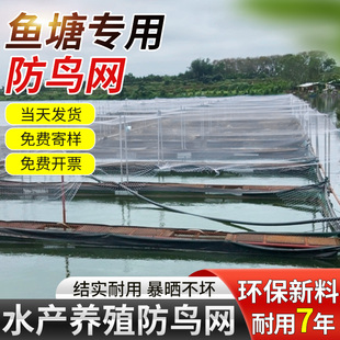 鱼塘防鸟网养殖网农田防大型鸟青蛙泥鳅锦鲤养殖场防鸟天网防护网