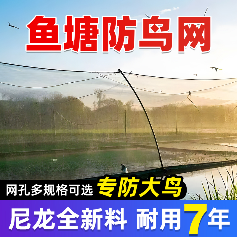 鱼塘防鸟网养殖网农田防大型鸟网青蛙泥鳅锦鲤养殖场天网防鸟天网