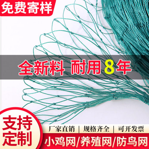 大棚尼龙线防鸟网养鸡尼龙网养殖天网鱼塘果园防鸟网果树防鸟用网