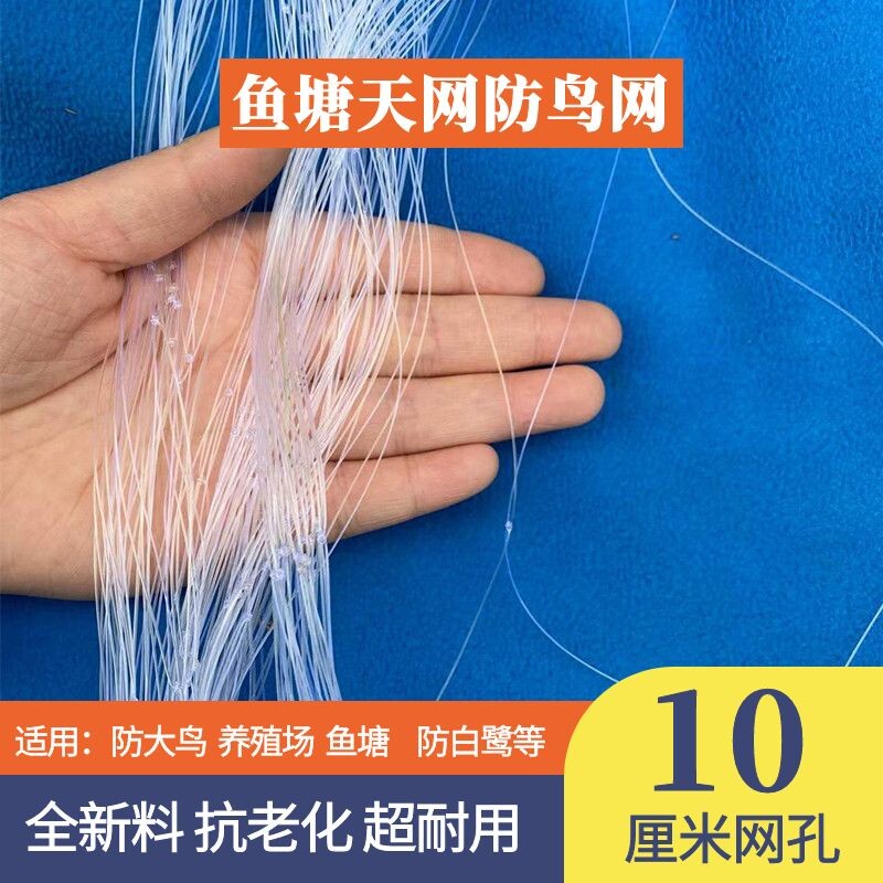 加粗鱼塘防鸟网天泥鳅青蛙