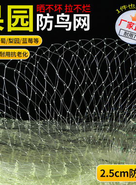 尼龙防鸟网果树果园大棚防鸟专用网樱桃葡萄梨树鱼塘天网养殖围网