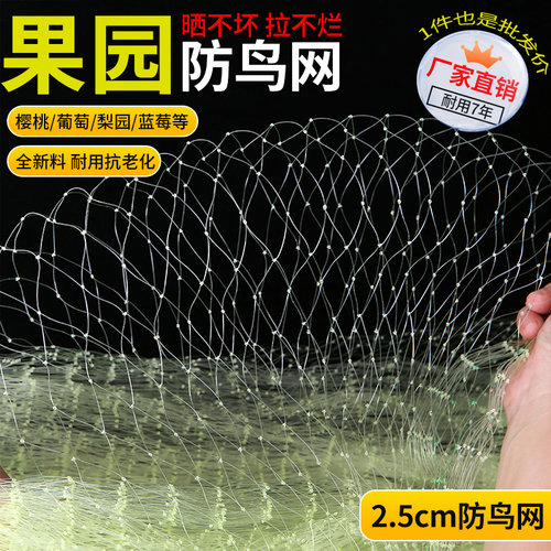 尼龙防鸟网果园果树新料加粗耐用