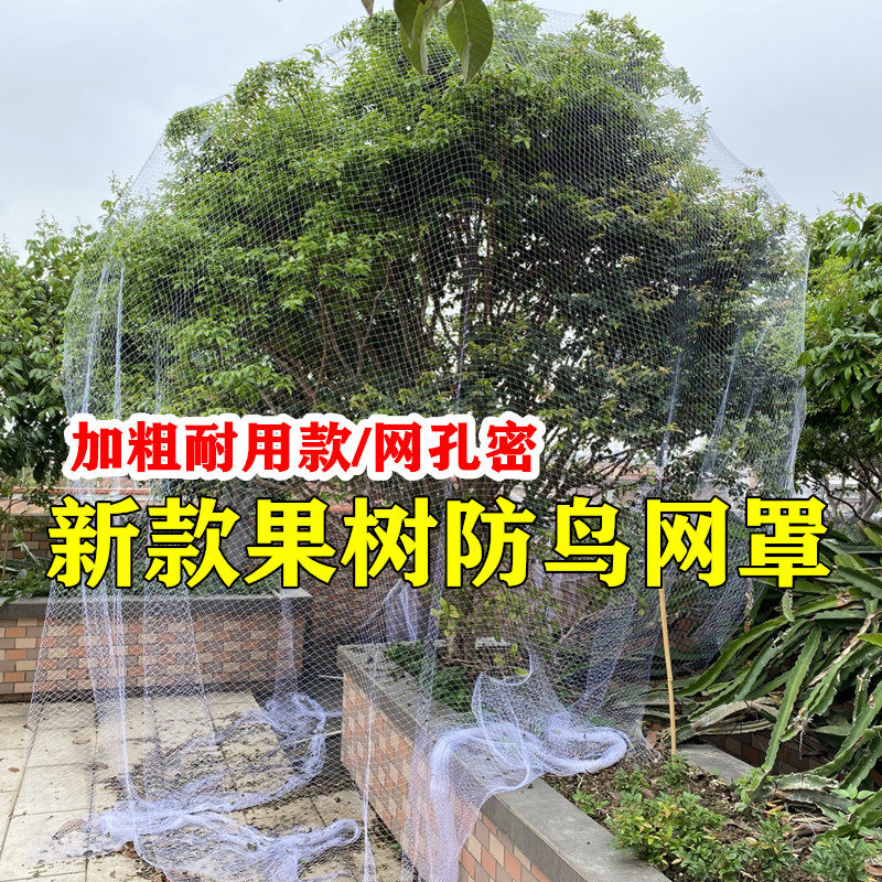果树防鸟网嘉宝果树防鸟专用网农用防鸟丝网果园天网防鸟罩子阳台