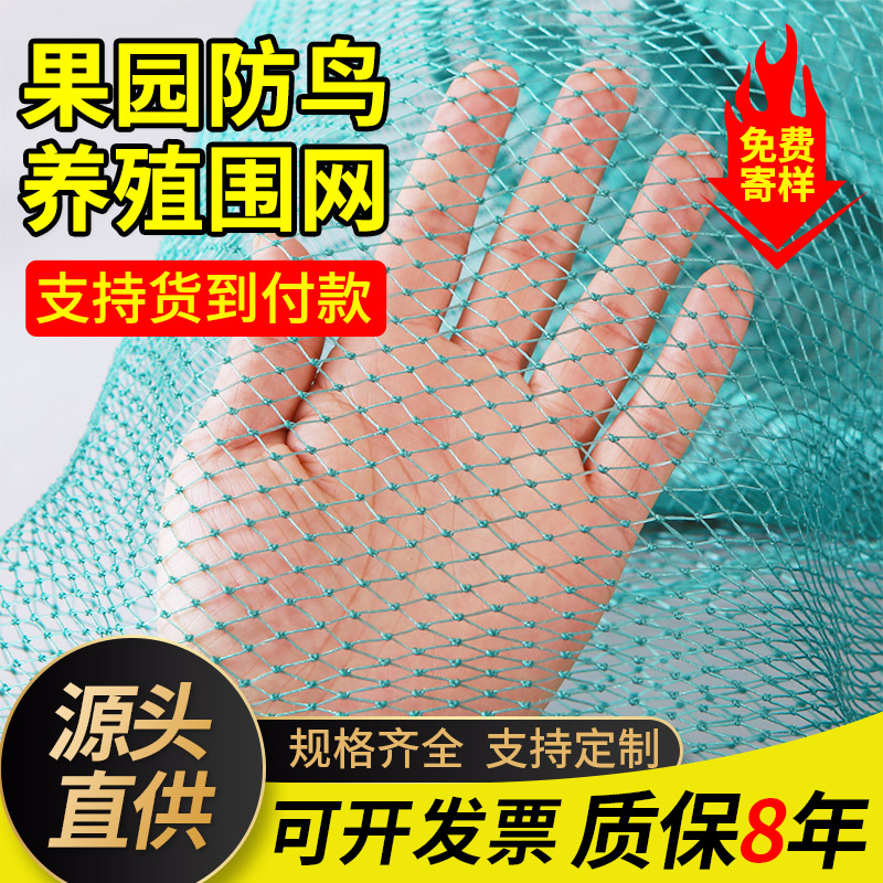 防鸟网养鸡尼龙网养殖天网大棚尼龙线鱼塘果园防鸟网果树防鸟用网