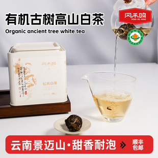 罐 96g 层次多风味足新老茶客下午茶 白茶 有机古树茶