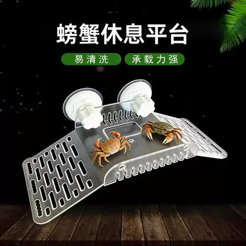 鱼缸螃蟹休息平台乌龟晒台亚克力