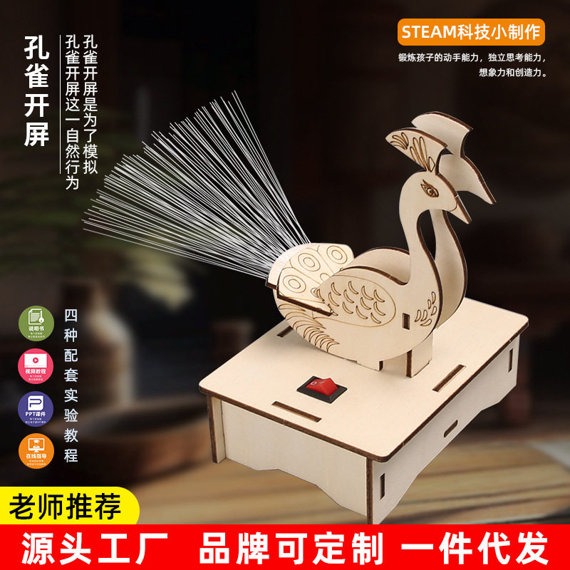 科教前沿教具DIY光纤灯孔雀开屏科学实验儿童学生玩具科技小制作图片