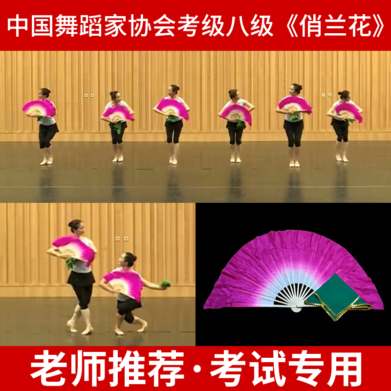 中国舞蹈家协会十级考级花鼓舞韵七级俏兰花考级扇子手绢专用道具