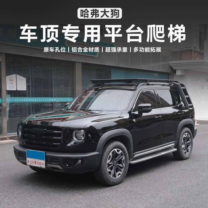 哈弗大狗车顶平台二代大狗拓展专用行李架行李框 旅行架 侧爬梯
