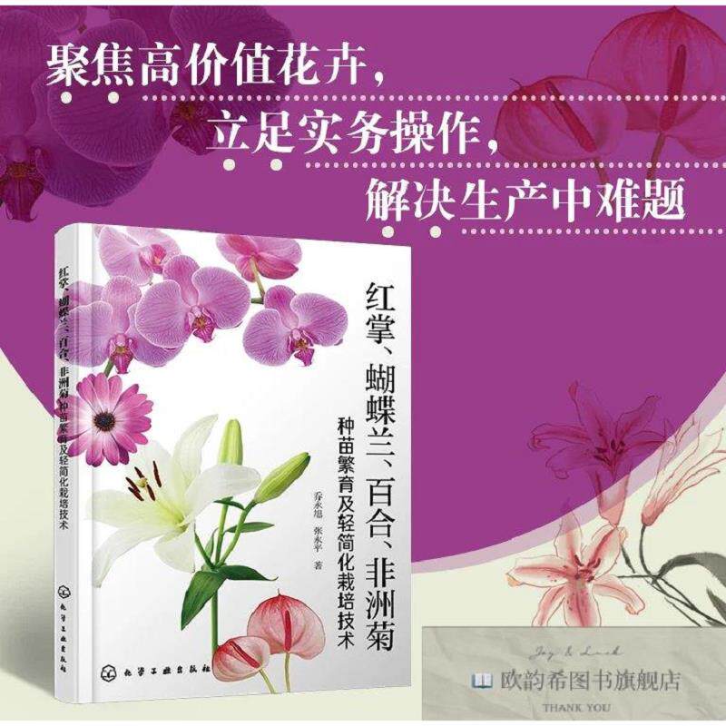 全新正版红掌蝴蝶兰百合非洲菊种苗繁育及轻简化栽培技术 乔永旭,