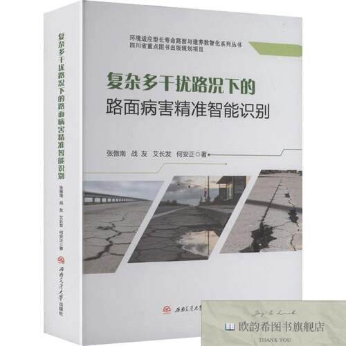 全新正版复杂多干扰路况下的路面病害精准智能识别 张傲南 等 著