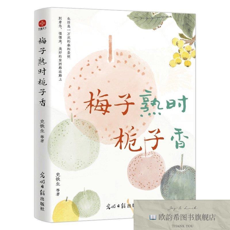 全新正版梅子熟时栀子香史铁生光明日报出版社