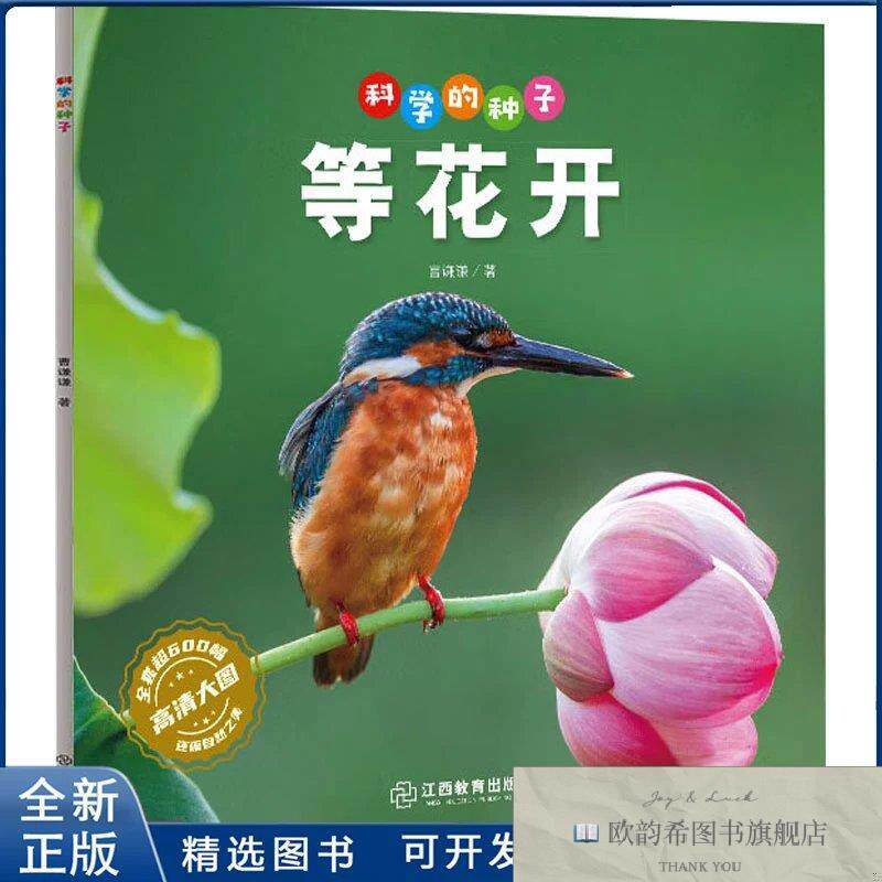 全新正版科学的种子：等花开3-8岁儿童百科认识科学概念 养成科学