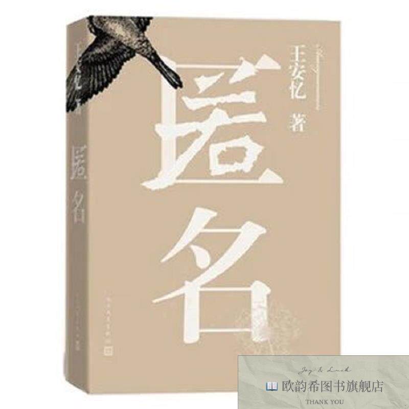 全新正版匿名--王安忆 _sx安忆人民文学出版社