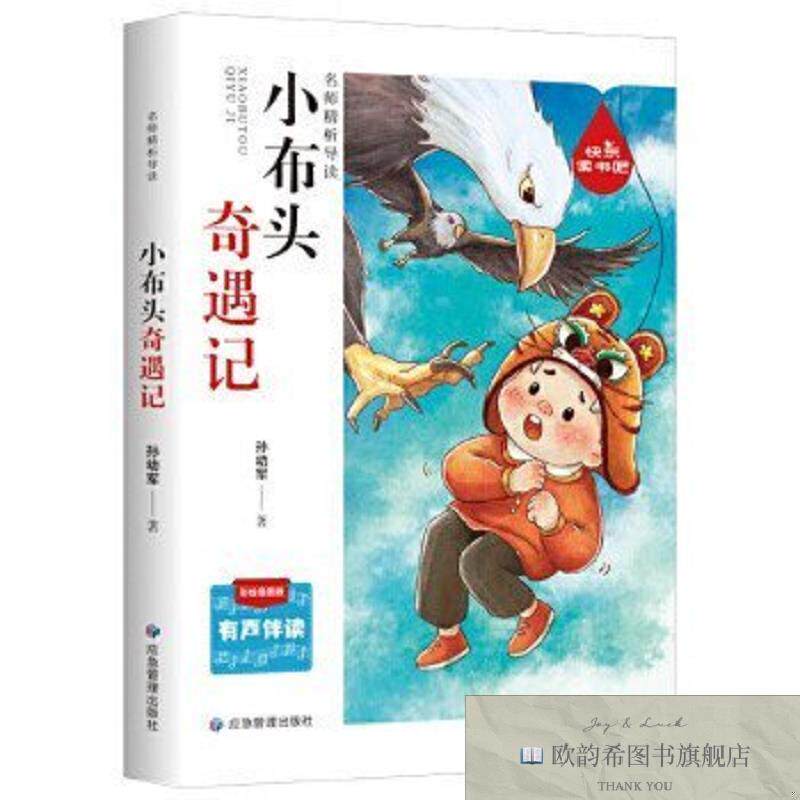 全新正版小布头奇遇记孙幼军应急管理出版社