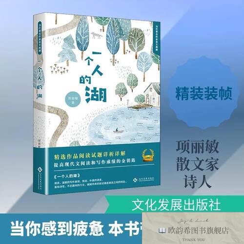 全新正版一个人的湖项丽敏 著9787514224702文化发展出版社项丽敏