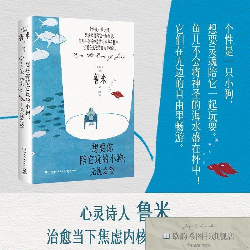 全新正版鲁米:想要你陪它玩的小狗:无忧之径鲁米湖南文艺出版社