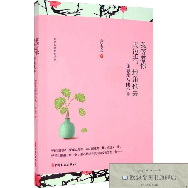 全新正版等着你,天边去,地角也去:徐志摩与陆小曼高志文著中国