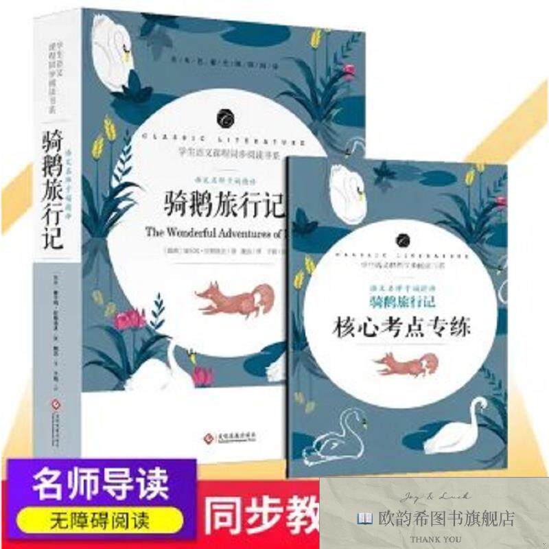 全新正版学生语文课程同步阅读书系 语文名师于娟精评 骑鹅旅行记