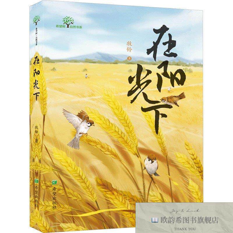 全新正版在阳光下 牧铃 著新华文轩网络书店 正版图书牧铃希望出