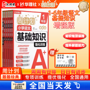 2025秋华理社周计划小学语文基础知识强化训练增强版 小学生语文基础词语成语作文一二三四五六年级小升初全面知识归纳系统强化巩固