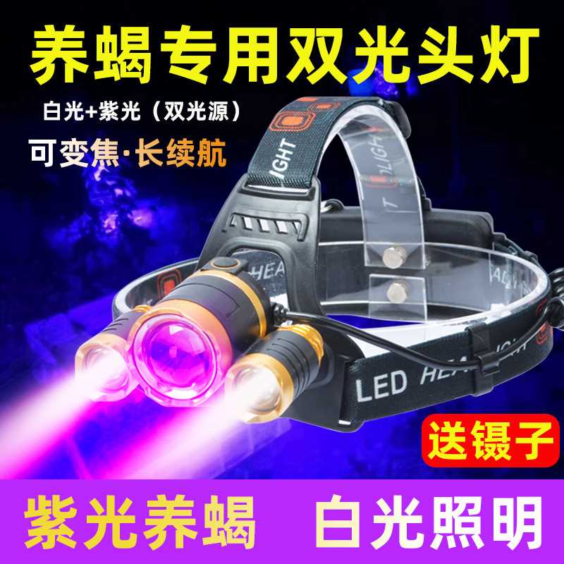 紫光灯养蝎厂照蝎子头灯可充电紫白双光超亮两用头戴式豆虫赵之李