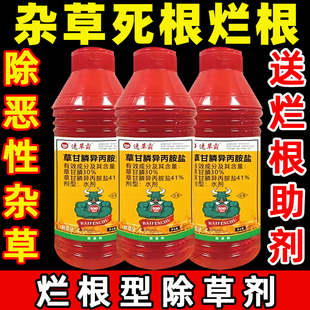 农药除草剂 草甘磷除草烂根剂强力一扫光专用剂草甘膦异丙胺盐正品