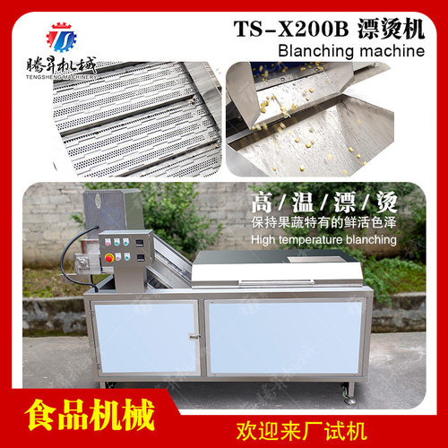 商用蔬菜辣椒枸杞果蔬清洗漂烫机 净菜加工成套设备 2米漂烫机