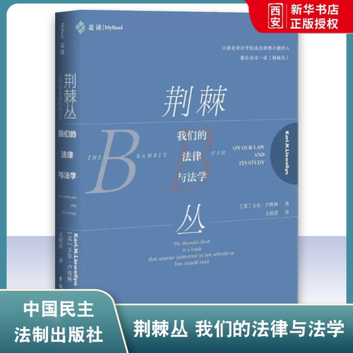 正版荆棘丛 我们的法律与法学 麦读系列 中国民主法制出版社 现实主义法学的名著 批判法学理论 法学院学生法律人律师读物书入门书