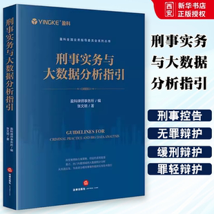 正版刑事实务与大数据分析指引 张文明 法律出版社 刑事控告 刑事辩护 刑民交叉案件 刑事案件实务 教程书籍