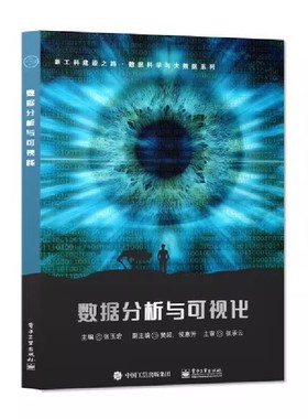正版数据分析与可视化 张玉宏 电子工业出版社 Pandas数据预处理与深加工 Matplotlib可视化分析 教程教材书籍