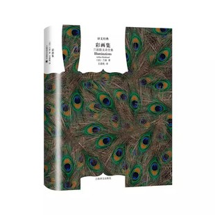 正版彩画集 兰波散文诗全集 王道乾 上海译文出版社 收集 地狱一季 坏血统 彩画集 散文诗歌 译文经典精装本