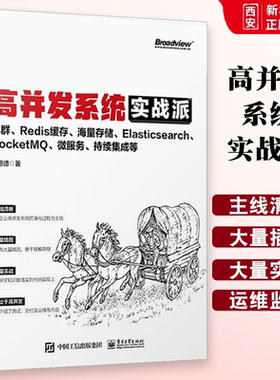 正版高并发系统实战派 集群 Redis缓存 海量存储 Elasticsearch RocketMQ 微服务 持续集成等 企业系统技术框架搭建技术书籍