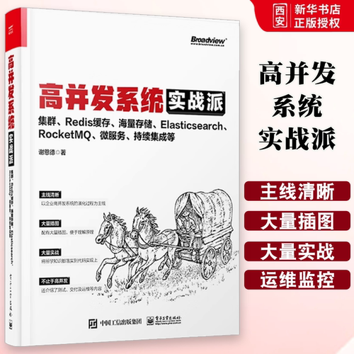 正版高并发系统实战派 集群 Redis缓存 海量存储 Elasticsearch RocketMQ 微服务 持续集成等 企业系统技术框架搭建技术书籍