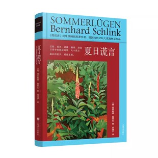 正版夏日谎言 伯恩哈德施林克 上海译文出版社 国际知名的作家作品 题材多样的短篇集萃 切合当下的丰富话题