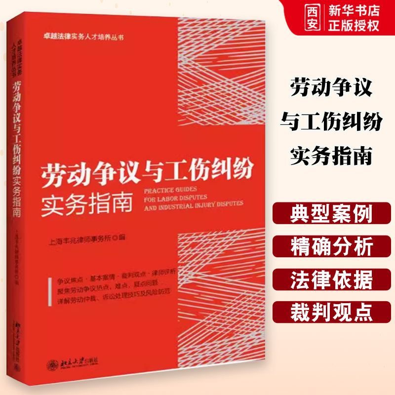 正版劳动争议与工伤纠纷实务指南 北京大学 上海丰兆律所 劳动争议纠纷典型案例劳动仲裁诉讼处理技巧及风险防范 劳动合同劳务派遣