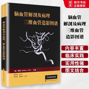 正版脑血管解剖及病理三维血管造影图谱 辽宁科学技术出版社 人体脑血管解剖学图谱 神经外科医生技术参考书