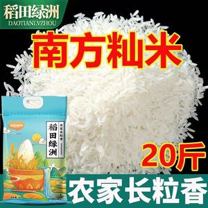 长粒香米正宗农家长粒香米家用煮饭