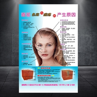 面部色斑与痤疮的产生原因挂图 医院美容科室皮肤结构解剖画337