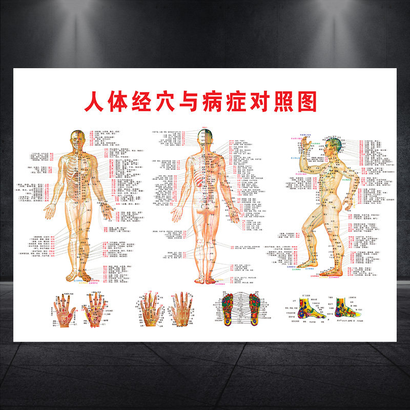 中医养生人体经络穴位图与病症对照图大挂图全身经络高清图1292图片