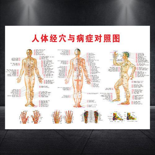 中医养生人体经络穴位图与病症对照图大挂图全身经络高清图1292