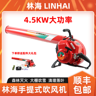 森林消防风力灭火机马路吹灰吹雪机 50吹风机手提式 林海6MF