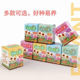 绿植小盆栽儿童作业diy科学种植水果蔬菜花卉大集合礼物盲盒