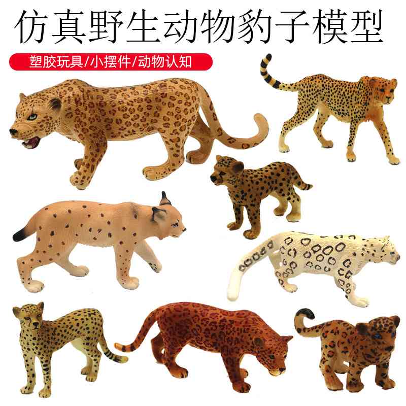 实心非洲猎豹仿真模型儿童认知