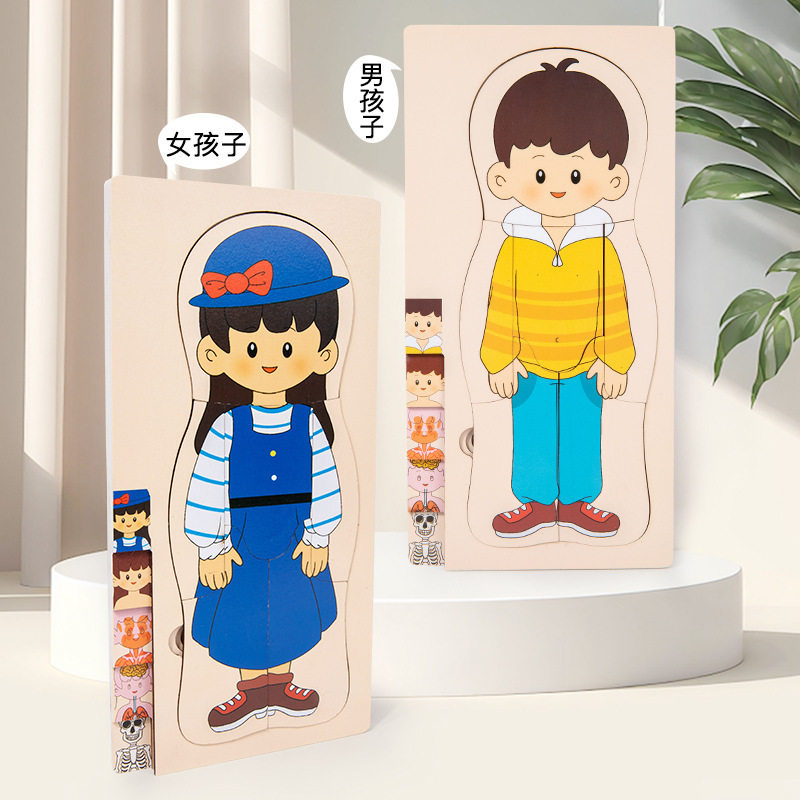 木制早教人物身体器官结构认知拼图大脑多层拼板益智开发木质玩具