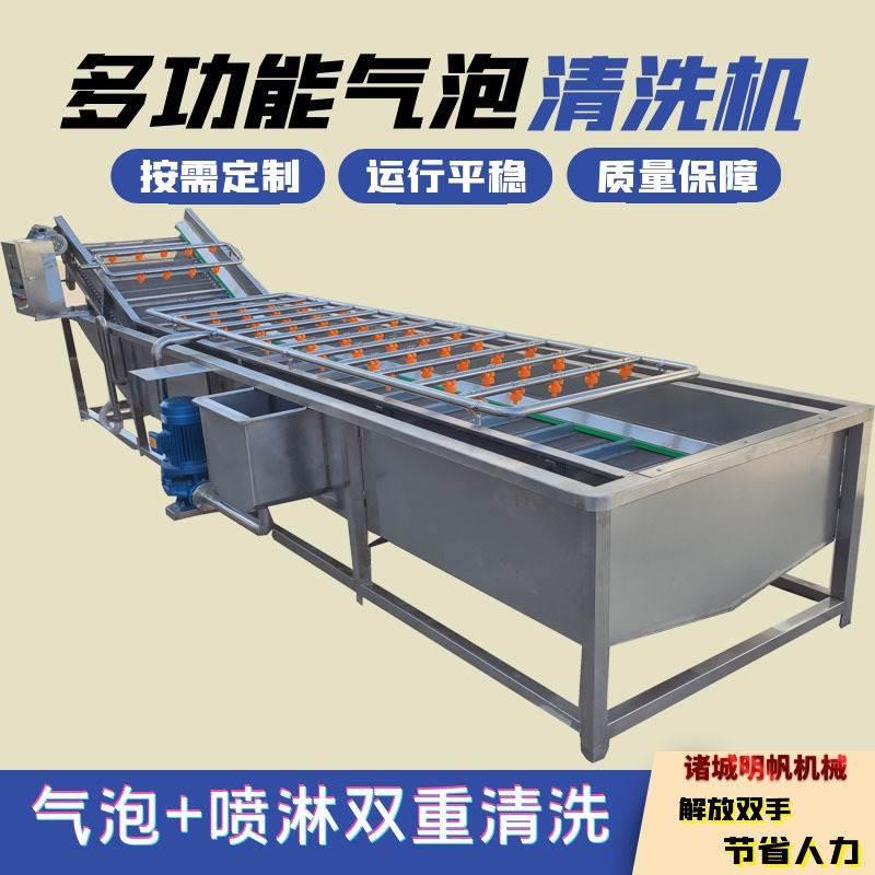 果蔬气泡清洗机多用途菜
